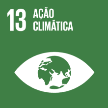 Logótipo do Objetivo de Desenvolvimento Sustentável 13 das Nações Unidas: ação climática.